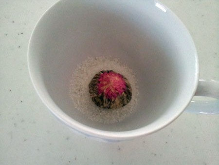 20130502_131053.jpg