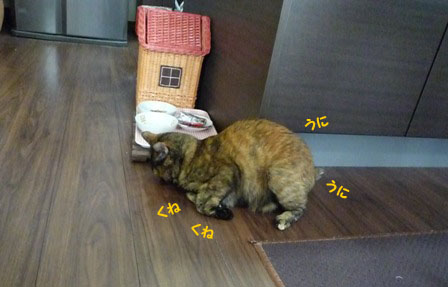 151のコピー