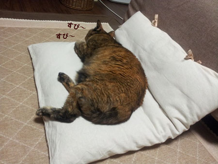 20130508_224510のコピー