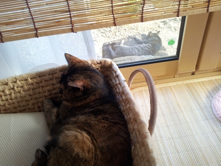 20130514_165432.jpg