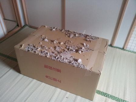 20130520_125614.jpg