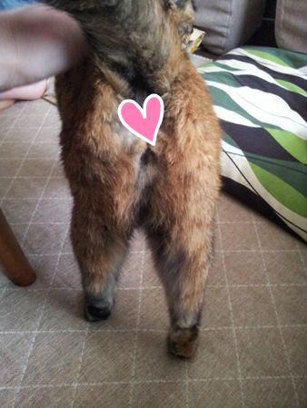 20130523105906.jpg