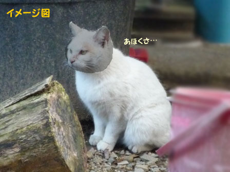 2801 (2)のコピー