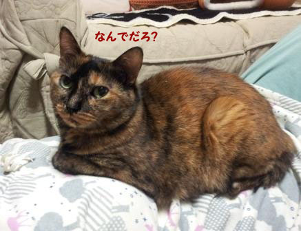 20130530_000956のコピー