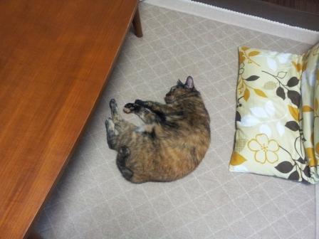 20130530_112032.jpg