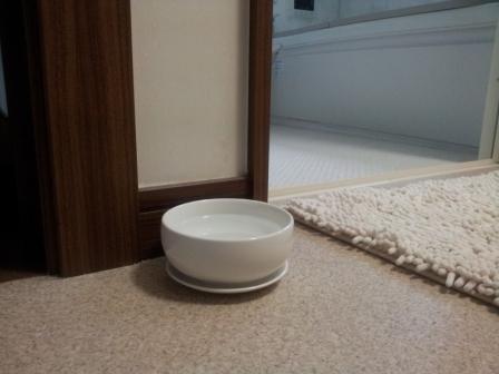 20130530_113456.jpg