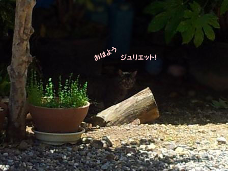20130531_124200のコピー