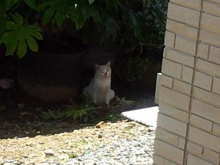 20130531_123911.jpg