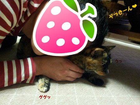 20130602094319.jpg