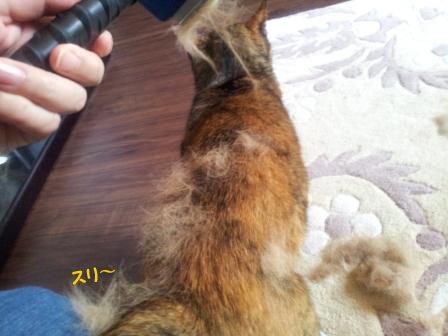 20130603_140420のコピー
