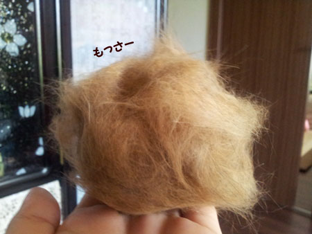 20130603_141201のコピー