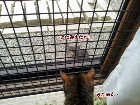 20130606105203.jpg
