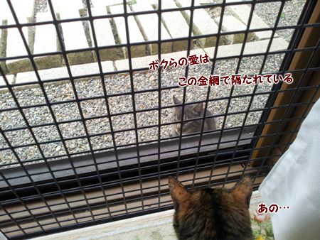 20130606110247.jpg