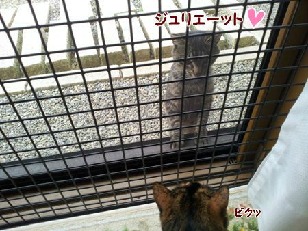 20130606111433.jpg
