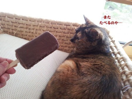 20130610_144219のコピー