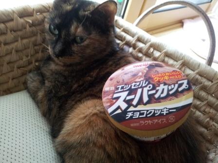 20130610_144907.jpg