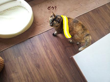 20130309_152000のコピー (2)