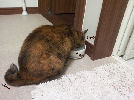 20130612_001914のコピー
