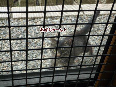 ろみ2