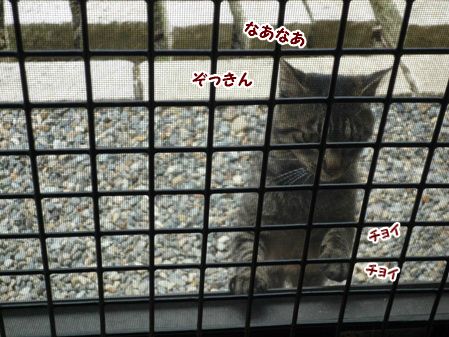 ろみ4