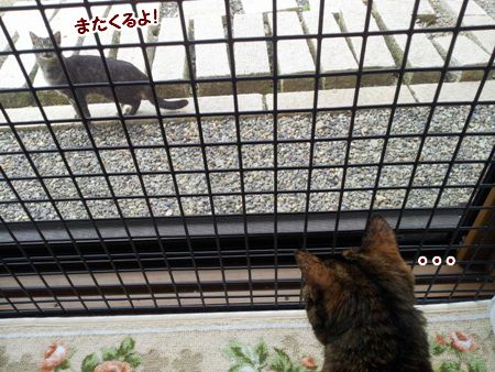 ろみ8