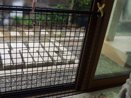 201306165_091638.jpg