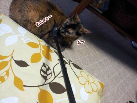 20130617124822.jpg