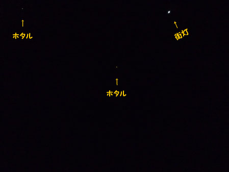 071のコピー