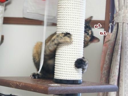 20130626162132.jpg