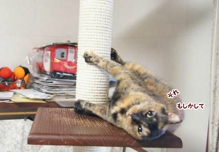 20130626162338.jpg