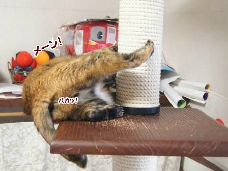 20130626163006.jpg
