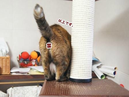 20130626163204.jpg