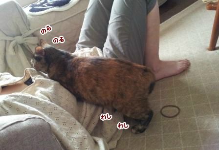 20130628112729.jpg