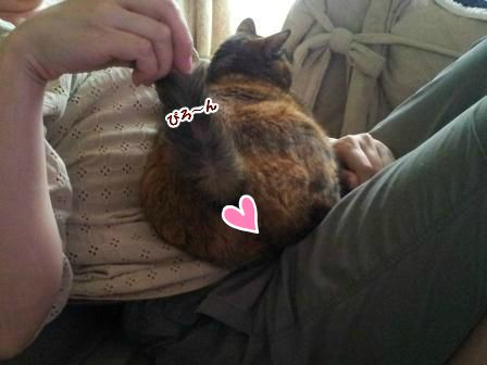 20130628113431.jpg