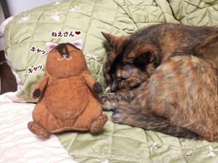 ぷすり4