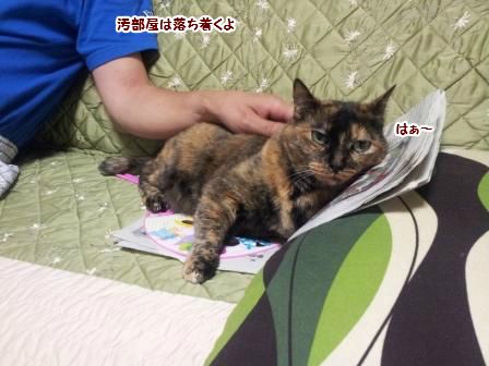 汚部屋4