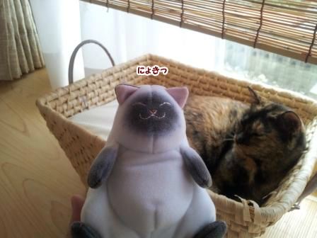 はなちゃんですけど1