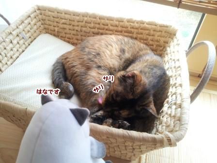 はなちゃんですけど2