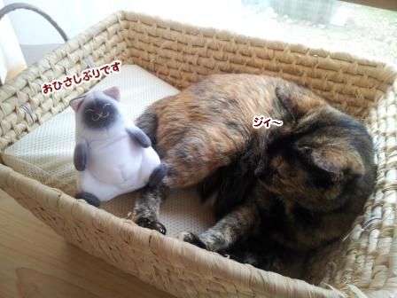 はなちゃんですけど3