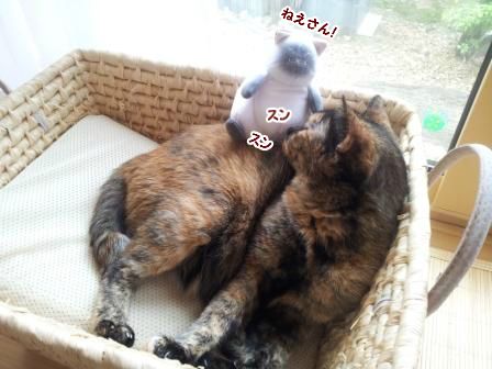 はなちゃんですけど4