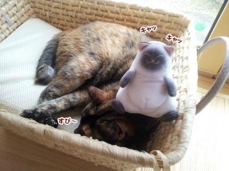 はなちゃんですけど5