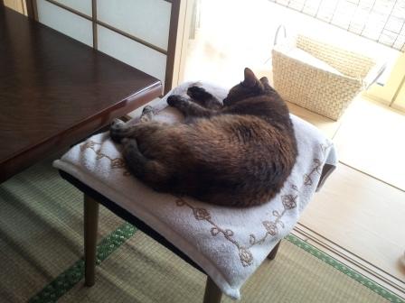 20130710_130538.jpg