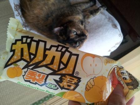 20130711_093236.jpg