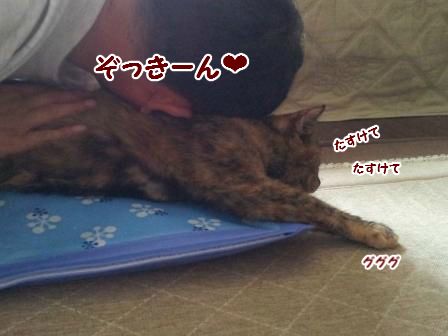 むきむき3