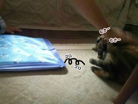 むきむき4