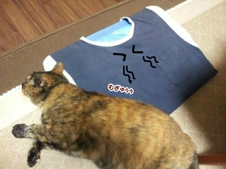 ぼろりんこ6