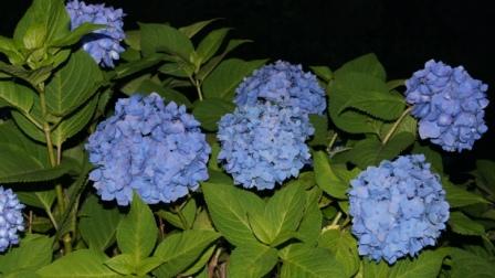DSC01457.jpg