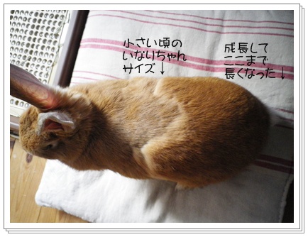 いなり脱10