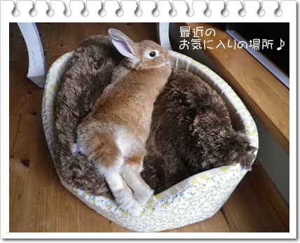 いなり脱7