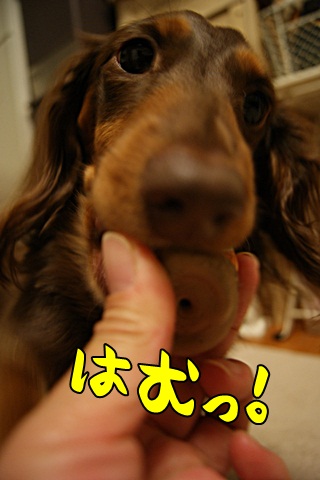 009_20120419225023.jpg